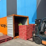 TLC Enterprise loading a shipping container for sea freight with pallet stock