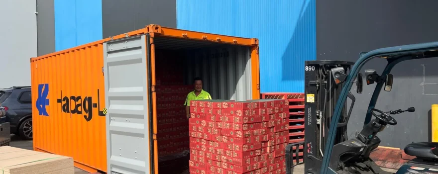 TLC Enterprise loading a shipping container for sea freight with pallet stock